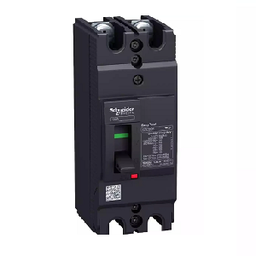 เซอร์กิตเบรคเกอร์ SCHNEIDER No.EZC100H-TMD Circuit breaker , 2P 20A