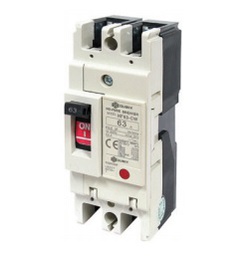 โนฟิวส์เบรคเกอร์ QUBIX No.NF63-CW No Fuse Breaker : 32A , 40A , 50A , 63A / 2P