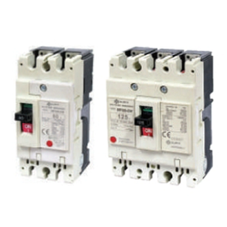 [013000002151] เซอร์กิตเบรคเกอร์ QUBIX NO.NF125SW CIRCUIT BREAKER ขนาด 3P 100A ,380V Fuse Breaker